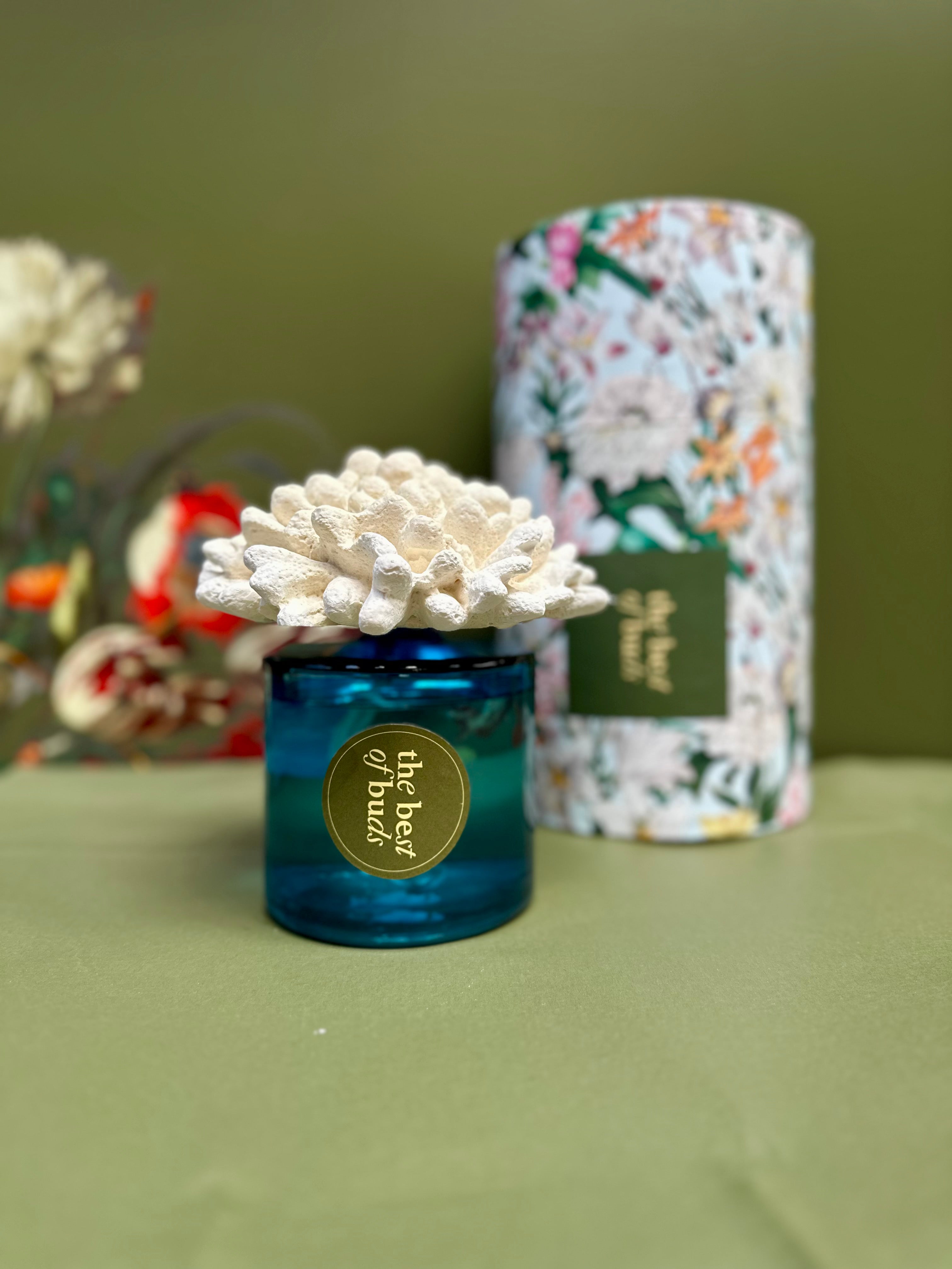 Exclusive Home Diffusers