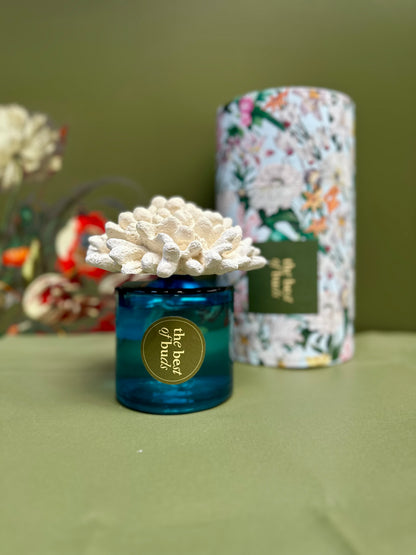 Exclusive Home Diffusers