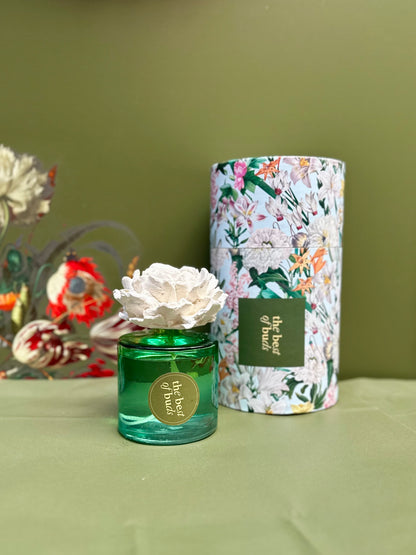 Exclusive Home Diffusers